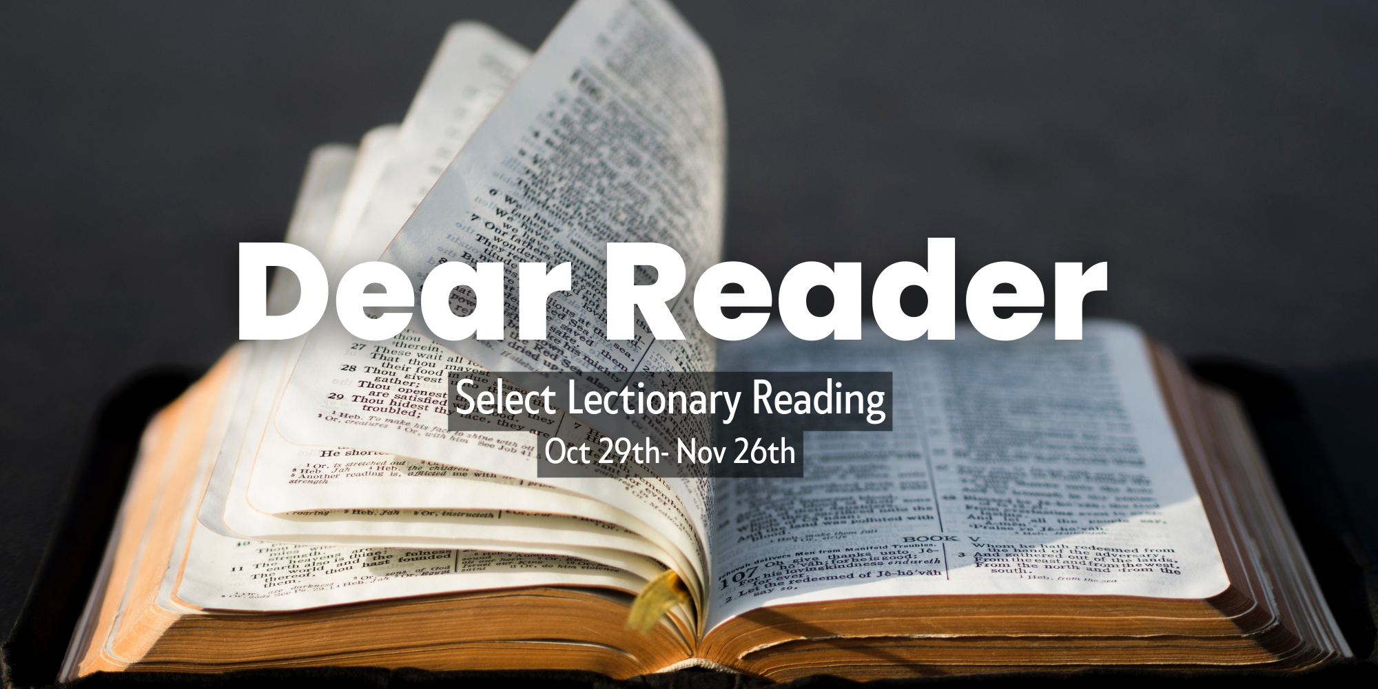 Dear Reader: Week 28